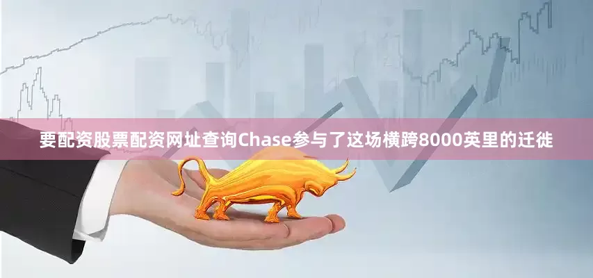 要配资股票配资网址查询Chase参与了这场横跨8000英里的迁徙