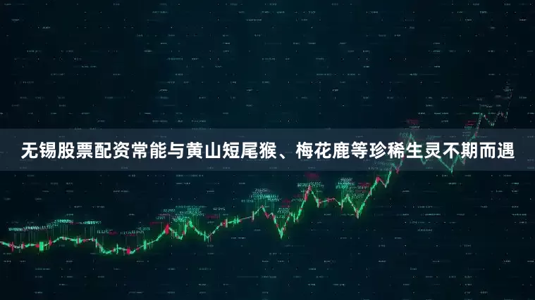 无锡股票配资常能与黄山短尾猴、梅花鹿等珍稀生灵不期而遇